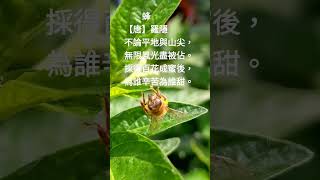 蜂 【唐】羅隱