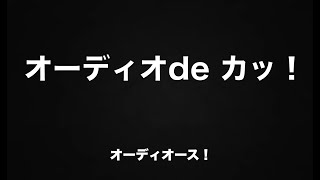 『オーディオ刑事』SEASON0 -オーディオ de カッ！-