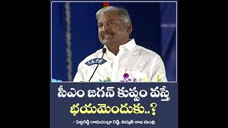 సీఎం జగన్ కుప్పం వస్తే చంద్రబాబు ఎందుకు భయపడుతున్నాడని మంత్రి పెద్దిరెడ్డి అన్నారు.