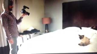 Kesha great burp