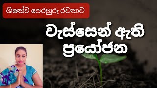 Benefits of rain | වැස්සෙන් ඇති ප්‍රයෝජන | 3,4,5 ශ්‍රේණි සදහා පෙරහුරු රචනා | scholarship exam