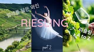 [10min Wine Academy] Ep.36 리슬링 Riesling, Part 2