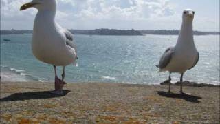 Mon film bretagne treguier 2011