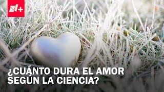 Día del amor y la amistad: ¿Cómo funciona el enamoramiento? - Despierta