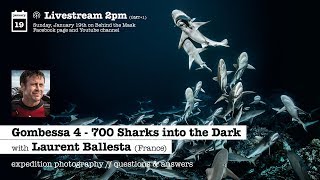 PART II WITH LAURENT BALLESTA AND GOMBESSA 4 - 700 SHARKS INTO THE DARK