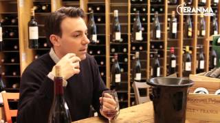 Conseil d'oenologie : savoir déguster son vin - Teranima TV