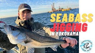 Fishing Tokyo Bay Seabass offshore game | shimano | Rockfish | Yokohama