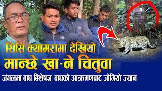 #Bhanu_Exclusive मान्छे खा*ने चितुवा CC Camera मा देखियो | जंगलमा बाघ बिशेषज्ञ/बाघले झम्टीयो टोलिलाई