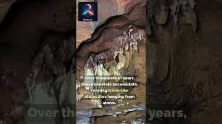 The Amazing Formation of Stalactites \u0026 Stalagmites! 🌿💧