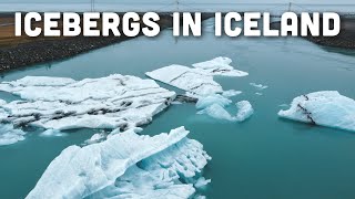 Drone Footage of ICEBERGS in ICELAND | #shorts 🎞