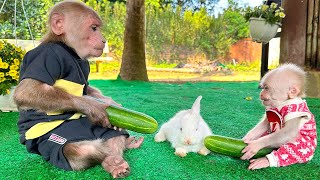 Bibi mistakenly gave food to the baby rabbit and the adorable way he handled it!