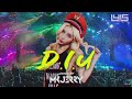 Diu  -  Dj Leng Yein Feat Mk Jerry Remix