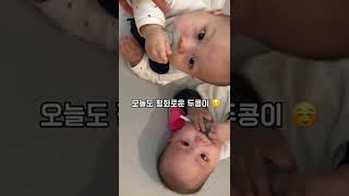 감히 내 쪽쪽이를 ? | 쌍둥이 쪽쪽이 쟁탈전 #shorts