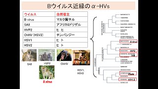 人獣7回対面霊長類2022秋 edit