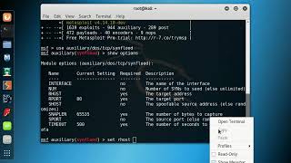 Kali Linux msfconsole-dos