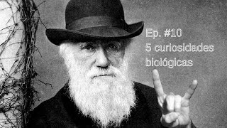 5 Curiosidades sobre Biólogia | #meioambiente #biologia