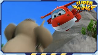 [SUPERWINGS1] อาบน้ำให้ช้างน้อย | ซีซั่น1 ตอนที่25 | ช่องทางการของ Superwings