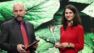 Biodiversity Beat Interview: Finance for Biodiversity