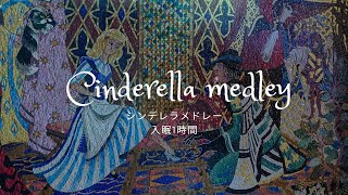 【寝かしつけ入眠BGM】Cinderella シンデレラメドレー　オルゴール