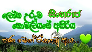 Sinharaja Rain Forest in Sri Lanka | ලෝක උරුම සිංහරාජයේ අසිරිය තත්පර කිහිපයකින් විඳ ගමු | සිංහරාජය