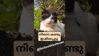 കുഞ്ചപ്പ൯െ്റ കാമുകൻ 😁#@Smilewithkuttusan #cat #comedy #mohanlal