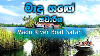 මාදු ගඟේ සංචාරය I Madu Ganga Boat Safari I Travel Sri lanka I Boat Journeys I Madu River Safari 2024