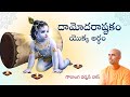 దామోదరాష్టకం యొక్క అర్థం | తెలుగు సత్సంగం | Gauranga Darshan Das