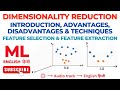 Dimensionality Reduction: Introduction, Techniques, Advantages, Disadvantages | Machine Learning