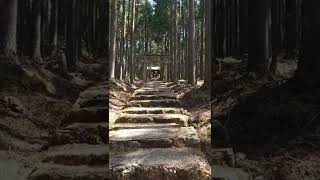 賀茂神社＃Shorts