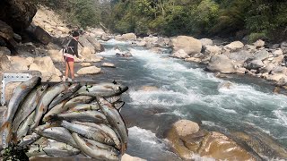 Net fishing competition ! तेरथुमको लिम्बु दाइ संग जालमा माछा मार्दै ॥