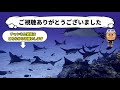 【サイパンの海１６】 魚のお家をつくろう 長い間、ご視聴ありがとうございました