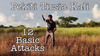 12 Basic Attacks of Pekiti Tirsia Kali Explained I Abecedario Breakdown