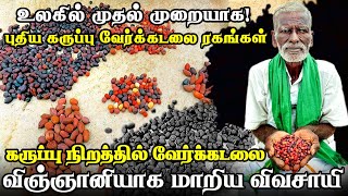 கருப்பு நிறத்தில் வேர்க்கடலை | Black Groundnut | Peanuts 🥜 | Iyarkai Annai