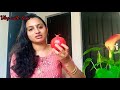 amazing benefits of pomegranate മാതള നാരങ്ങ കഴിച്ചാൽ പലതുണ്ട് ഗുണങ്ങൾ skin whitening