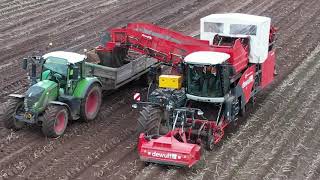 Prentice Agriculture harvesting potatoes with a Dewulf RCA3060