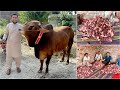 My Eid Day Routine 😰 | Gosht Kitna Nikala ?
