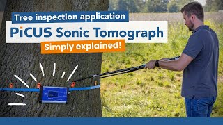 🌳 How to use the PiCUS Sonic Tomograph | Detecting & documenting internal tree defects