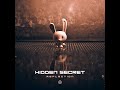 Hidden Secret - Reflection - Official
