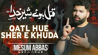 QATL HUE SHER E KHUDA | Mesum Abbas 21 Ramzan Noha Status | New Maula Ali Status