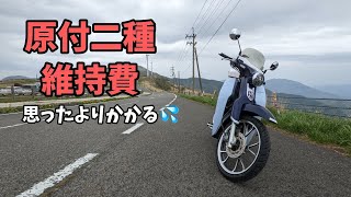 【スーパーカブC125】タイヤとチェーンをNAPSで交換しました