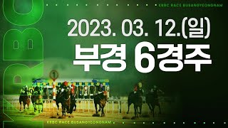 (부산)'23.3.12.6R 나 우습게 보지마, 추은경과 예스퍼펙트! 미라클드리밍 오랜만 입상!