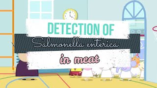 Detection of Salmonella enterica in Meat