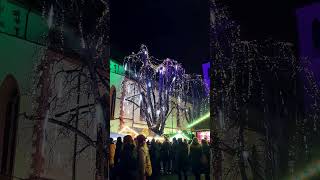 Weihnachtsmarkt 2022 I Freiburg im Breisgau | Germany | Rapunzel Diaries