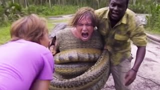 20 DEADLIEST Snake Encounters Caught On Camera