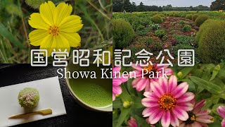 【国営昭和記念公園】レモンブライトやコスモスそして秋のブーケガーデンを巡った日 | 花風景