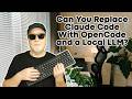 Can You Replace Claude Code/Codex with OpenCode and a Local LLM?