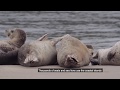 Oregon Islands National Wildlife Refuge