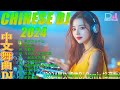 全中文DJ舞曲 高清 新2025夜店混音 | 最佳Tiktok混音音樂 Chinese Dj Remix 2025 👍《你的万水千山♪你的万水千山 ♪公蝦米...》2024年的remix音樂，太炸了！