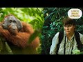 Orangutan Anomalies ft. Cheryl Knott