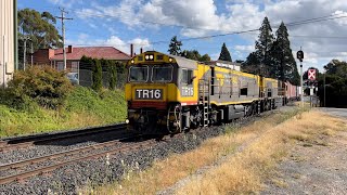 TasRail TR16 TR11 #31 train passing through Deloraine